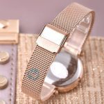 ساعت مچی زنانه دنیل کلین DANIEL KLEIN DK.1.12709-5 - Image 4