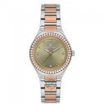 ساعت مچی زنانه دنیل کلین DANIEL KLEIN DK.1.13765-5