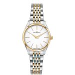 ساعت مچی زنانه فیلیپ واچ PHILIP WATCH R8253217503