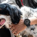 ساعت مچی مردانه کاسیو جیشاک G-SHOCK GA-2200BB-1ADR - Image 3