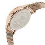 ساعت مچی زنانه دنیل کلین DANIEL KLEIN DK.1.12542-3 - Image 3