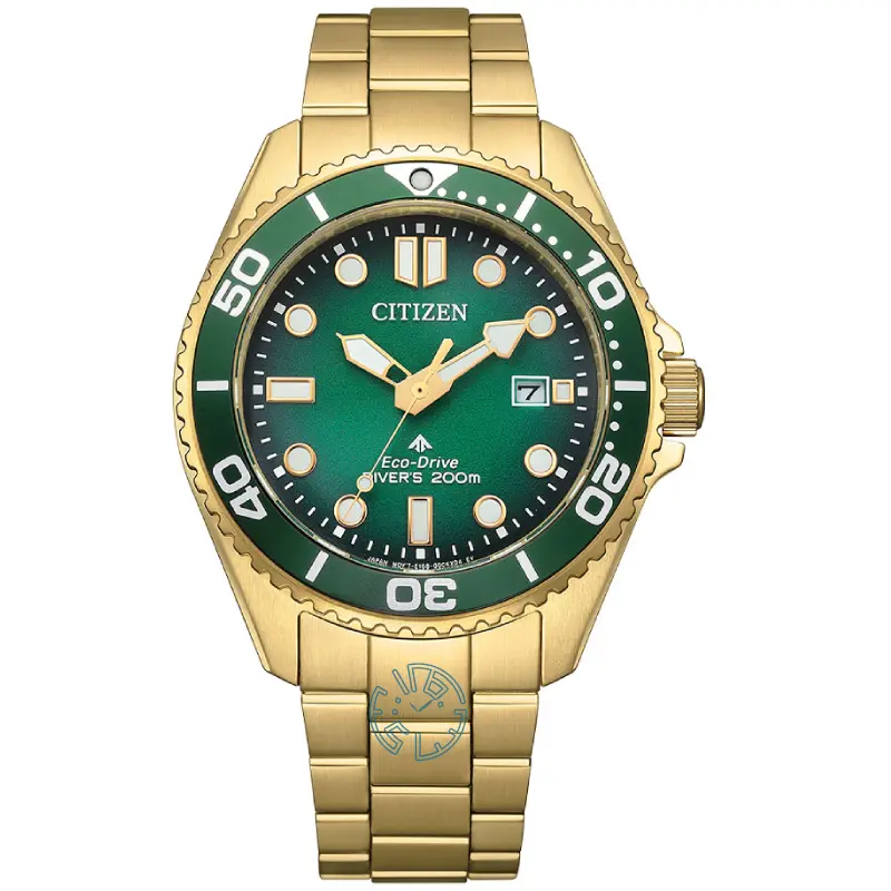 ساعت مچی مردانه سیتیزن CITIZEN BN0262-59W