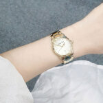 ساعت مچی زنانه متی تیسوت MATHEY TISSOT D2111PDI - Image 2