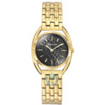 ساعت مچی زنانه متی تیسوت MATHEY TISSOT D949AN