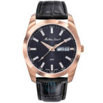 ساعت مچی مردانه متی تیسوت MATHEY TISSOT H453PLN